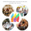 12Pcs Lightweight Multi-Use with Colorful Covers for Home 11