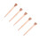 Equestrian Equipment: 250Pcs 51mm E5 Copper Plated Rustproof Nails 9