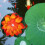 12 Pcs Outdoor Led Lotus Decorative 10
