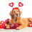 2 valentinstag haarband für haustiere, rot 11