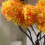 10 simulationbaum künstliche sukkulenten gartendekoration gold 10