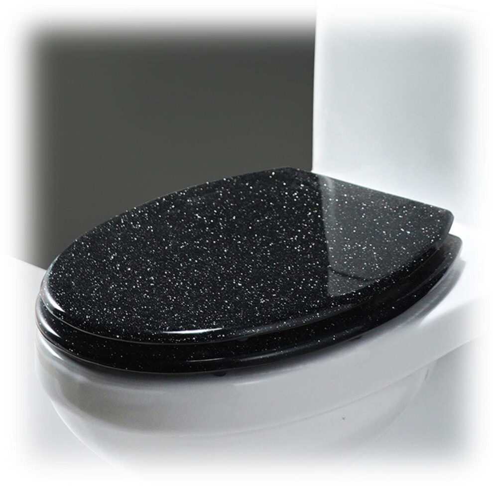 Glitter Oval Toilet Seat With Soft Close Quick Release Resin Black Glitter 9393856141197