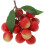 Levendig Fruit Model Voor Etalage 1