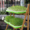 2 Sets Sprouting Tray Plastic Tray For Hydroponic Vegetable Growing 6