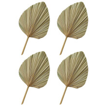 16 Pcs Dried Palm Leaves For Wedding Party Decoration