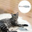Plush Cat Teasing Toy For Kitten Chewing And Teething Use 4