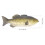 3Pcs Simulation Fish Pu Model Photography Prop Decor 2