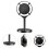 2Pcs Retro Style Condenser Microphone Vintage Model 11