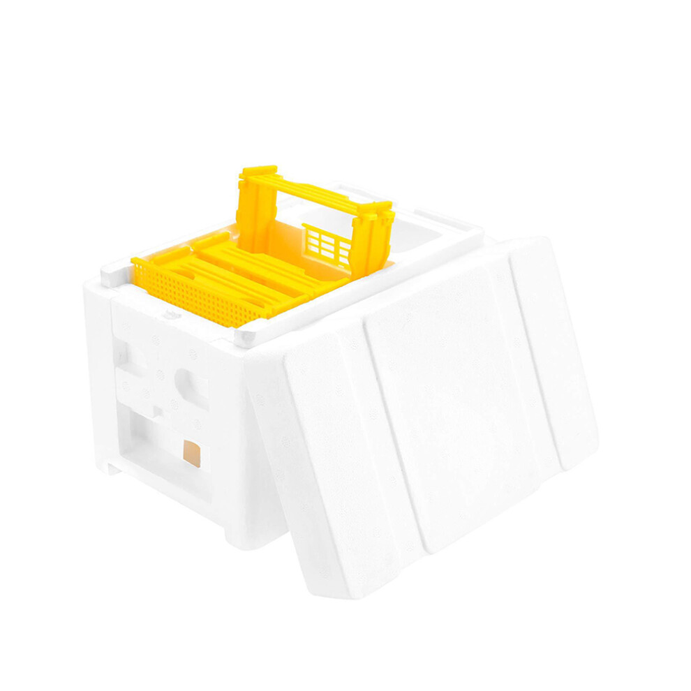 3Pcs Creative Bee Mating Box Practical Beehive Storage Tool-image-OPC-PKXVWBP-NEW