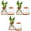 6 Pcs Plants Propagation Station Clear Glass Bottles With Base 330ml 9