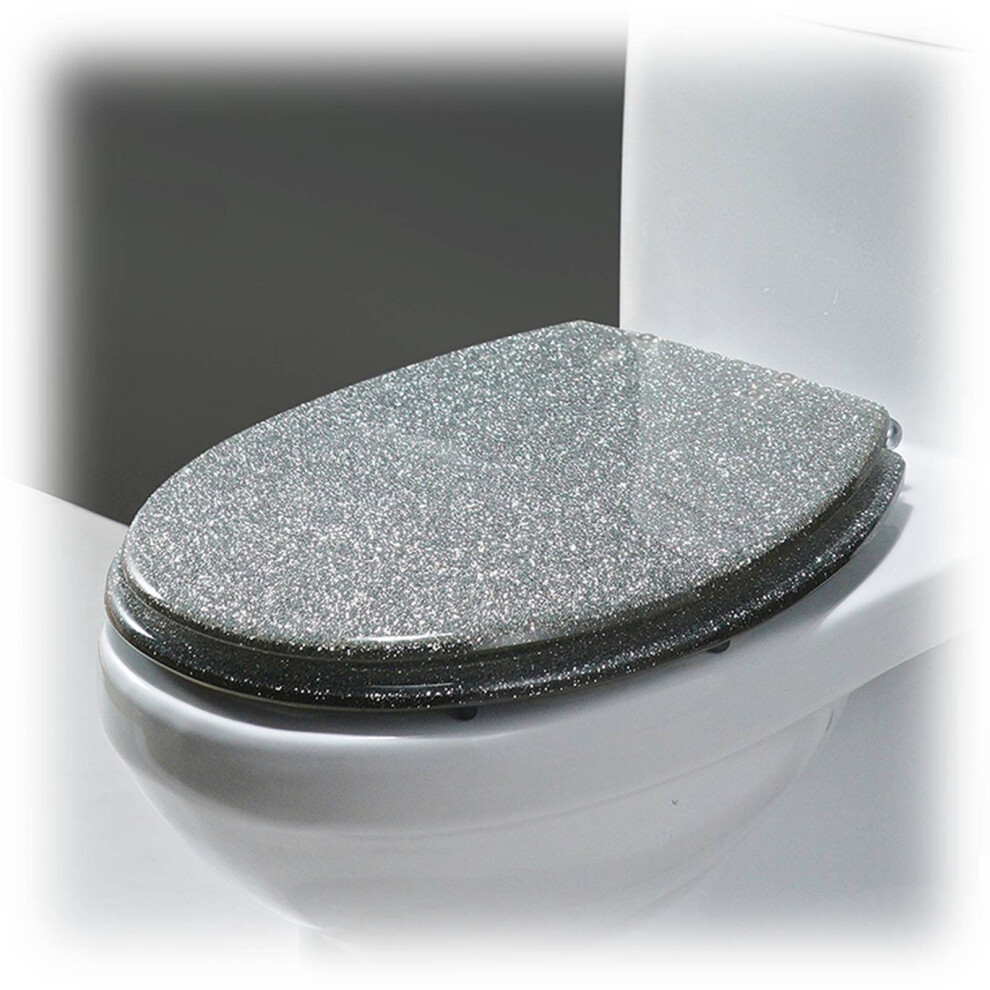 Glitter Oval Toilet Seat Resin With Soft Close Quick Release Easy To Clean Fits Most Oval Toilet Bowls 9354506101015