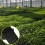 10 72- pvc-tablett für landwirtschaft und garten ( ) 8