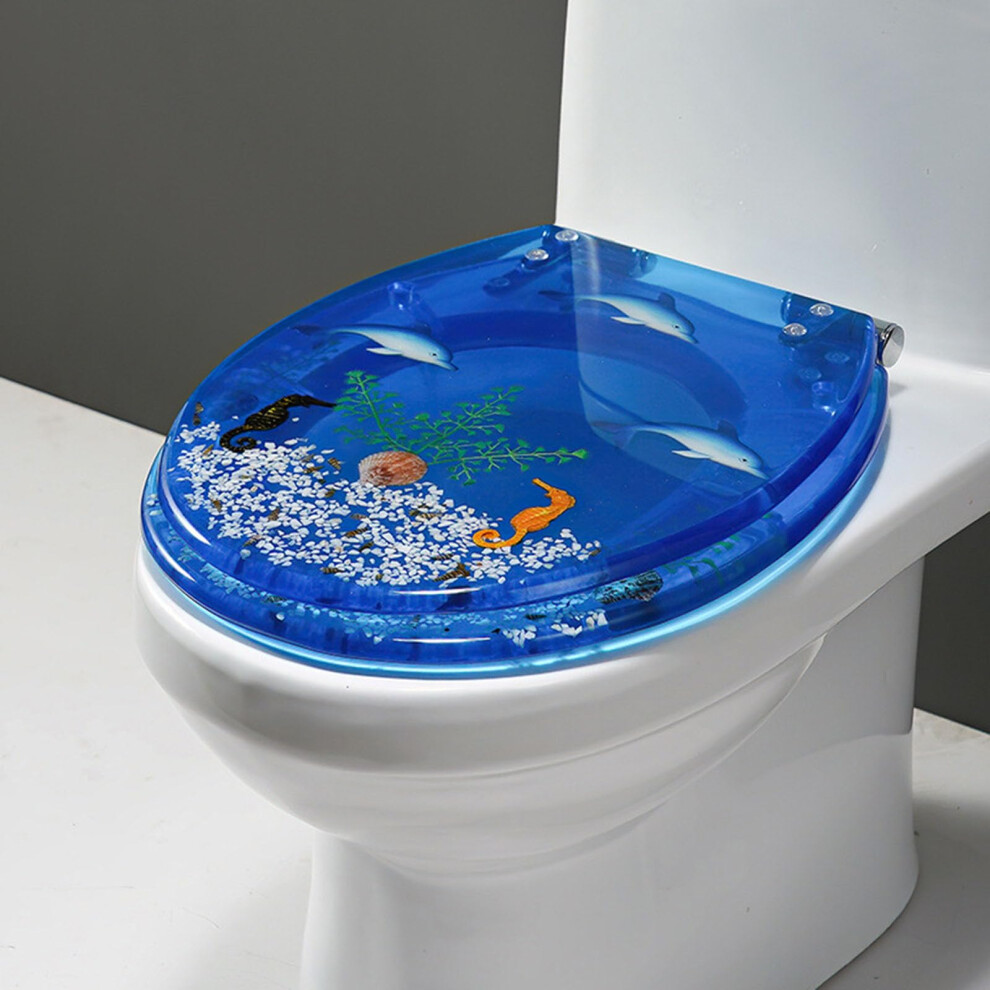 Toilet Seat Heavy Duty Resin Soft Close Transparent Blue With Stainless Steel Hinges 9084446245387