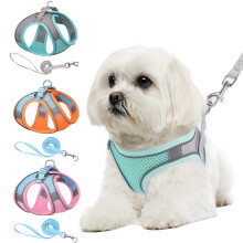 (Green, XS) Cat&Dog Harness and Leash,Escape Proof Cat Vest Dog Walking Leash and Harness,Easy Control Vest for Small Large Kitten Dog Outdoor