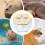 Hamster Sand Box Anti-Splash Play Box For Small Animals Reusable Plastic Bathing Digging Nest Size Small 3