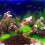 500 g aquarium vulkansteine filtermaterial aus dunkelrot 5