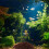 500 g aquarium vulkansteine filtermaterial aus dunkelrot 4