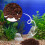 500 g aquarium vulkansteine filtermaterial aus dunkelrot 7