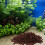 500 g aquarium vulkansteine filtermaterial aus dunkelrot 6