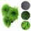 2 Count Betta Spawning Nest Tart Tins Para Removable Series Rim Kit 10