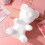 2Pcs 6Pcs 20Cm Bear Mold For Flower Arranging Craft Decoration 5