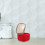 1 Pc Portable Denture Storage And Cleaning Box Red 2