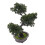2 Pcs Simulated Potted Ornaments With Artificial Pine Tree Decor 11