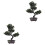 2 Pcs Simulated Potted Ornaments With Artificial Pine Tree Decor 4