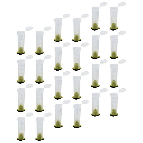 30Pcs Plastic Bee Breeding And Transport Cage For