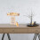 1 Hamster Klimladder Speelgoed Beige 3