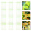 100 Pcs Fruit Protection Bags Mesh Netting With Drawstring For Trees 11