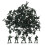 200 Pcs Mini Soldier Model Toy Playset Action Figures 2