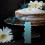 6 Pcs Double Edge Cake Smoother Plastic Icing Comb Pastry Tool 6