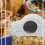 3Pcs Ceramic Hamster House Car Shape Hideout Cooling Pet Nest 9
