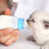 1set Cat Feeding Bottle Plastic Pet Feeder 9