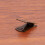 3Pcs Erhu Mute Muffler Silencer For String Instrument 4