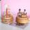 2 Pcs Printing Rabbit Wooden Music Box 11