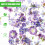 2 Pcs Plant Sticker Pack Leaf Stickers For Crafts Flower Scrapbooking 7
