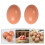 2 Pcs Artificial Eggs For Chicken Nests Fake Pasteurized Child 6