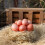 2 Pcs Artificial Eggs For Chicken Nests Fake Pasteurized Child 7