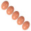 2 Pcs Artificial Eggs For Chicken Nests Fake Pasteurized Child 3