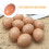 2 Pcs Artificial Eggs For Chicken Nests Fake Pasteurized Child 8