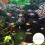 1 Set Aquarium Divider Grid Egg Crate for DIY Filtration 8