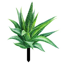 3 Pieces Outdoor Garden Signs Stake Wall Plaques Aloe Decoration