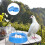 8 Pcs Plastic Pigeon Nests Bird Breeding Egg Laying Basins 10