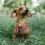 2pcs Engravable Metal Dog Tags Style For Pet Identification 8