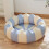 Inflatable Pools For Kids - Indoor Or Outdoor, Soft Floor, Quick Setups 5