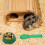 10 Pcs Hamster Bathtub Spoons Hamster Sand Spoons Small Pet Bath 2