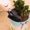 Garden Shovel Set Mini for Potted Plants 3