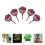 10Pcs Plastic Gardening Fertilization Boxes With Fertilizer Cover 4